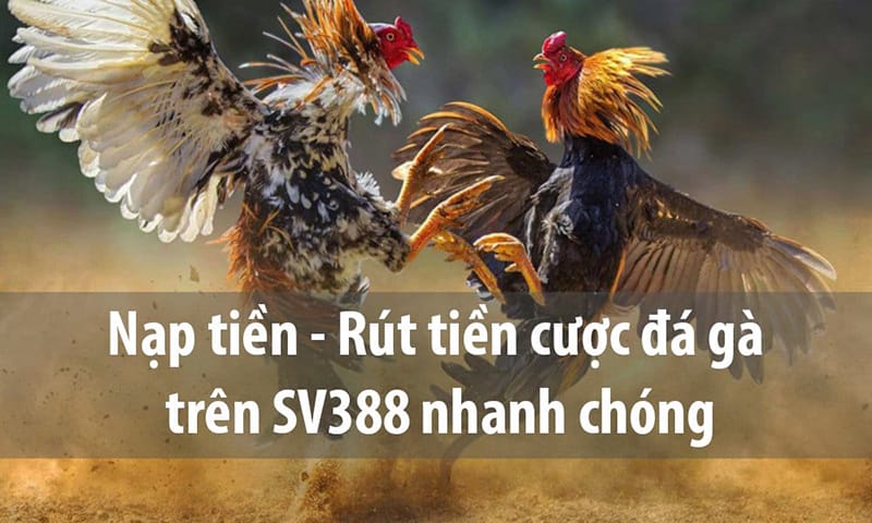 SV388-rut-tien-hoa-toc