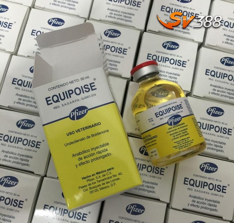 Một số ưu và nhược điểm thuốc gà đá equipoise